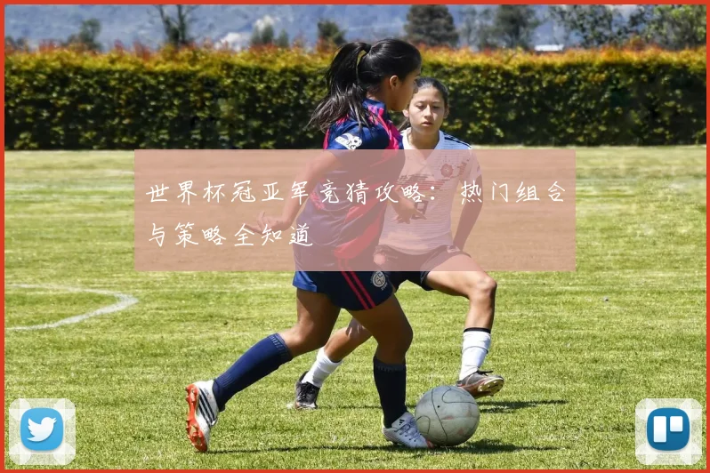 世界杯冠亚军竞猜攻略：热门组合与策略全知道