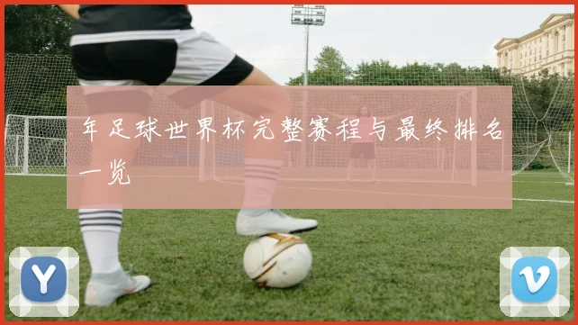 年足球世界杯完整赛程与最终排名一览