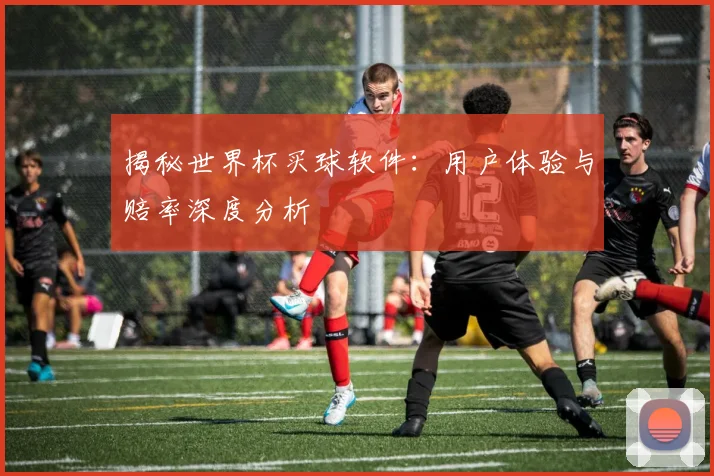 揭秘世界杯买球软件：用户体验与赔率深度分析