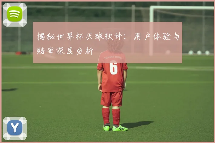 揭秘世界杯买球软件：用户体验与赔率深度分析
