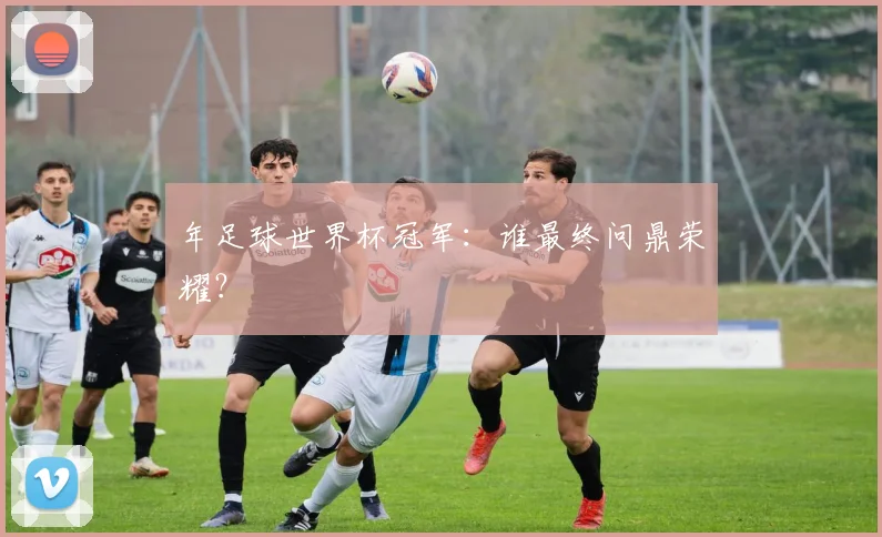 年足球世界杯冠军：谁最终问鼎荣耀？