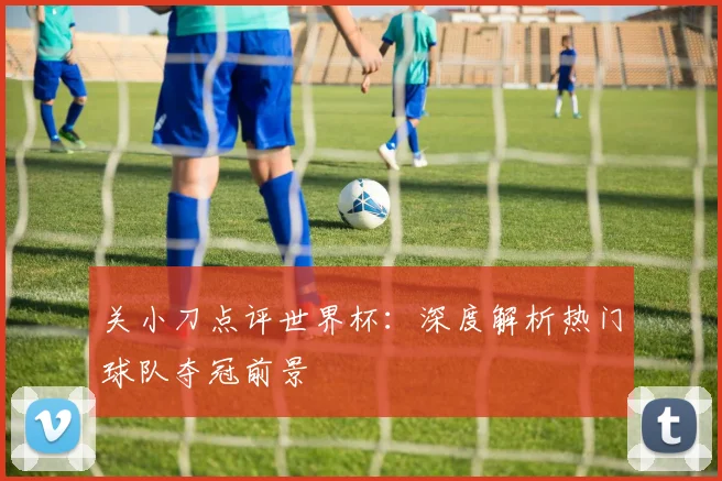 关小刀点评世界杯：深度解析热门球队夺冠前景