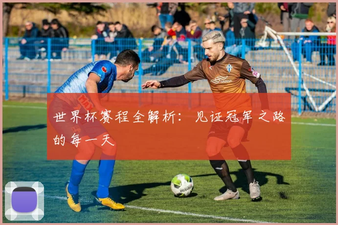 世界杯赛程全解析：见证冠军之路的每一天