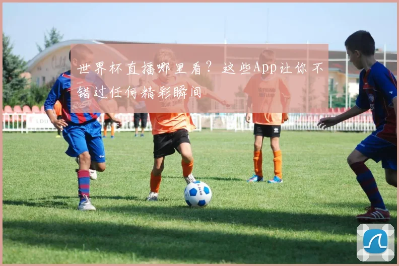 世界杯直播哪里看？这些App让你不错过任何精彩瞬间