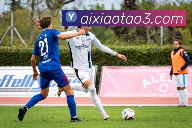 mksports登录入口全站App